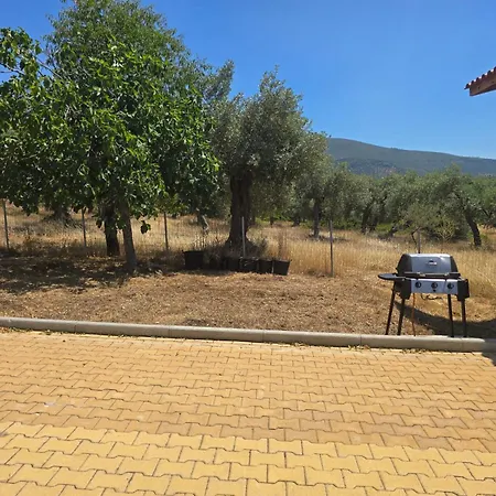 Olive Hill